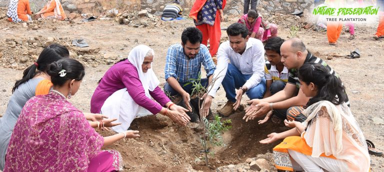 02-Tree-Plantation-1